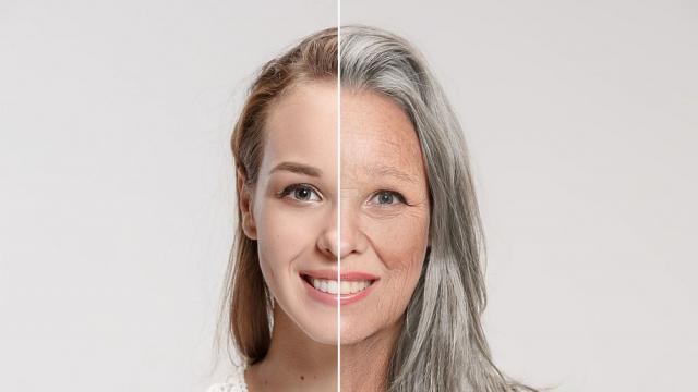 Учени разработиха диета срещу стареенето