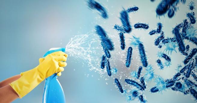 Общинското дружество Пазари Възраждане ЕАД което стопанисва Женския пазар пазара