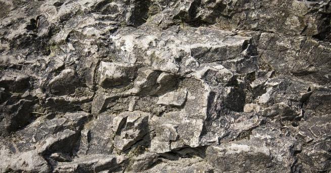 Археолози се натъкнаха на уникална скална рисунка изобразяваща богомолка в