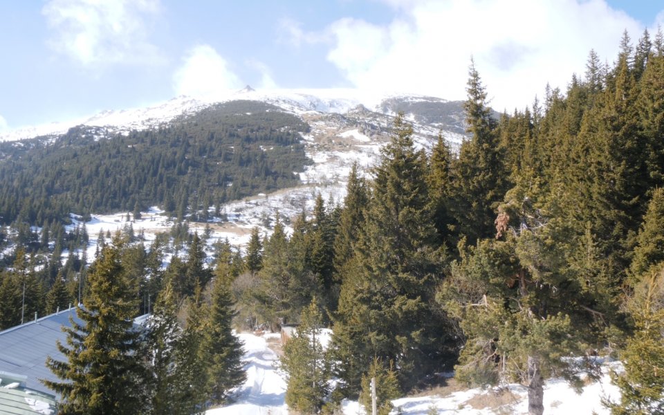 Днес се очаква да започне разчистването на пътя до национална