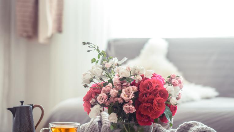  6 неща, които всяка edna жена би трябвало да има в дома си 