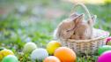 Полезни съвети: Ето как да сварим перфектните яйца за Великден