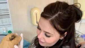 студенти помощ животни