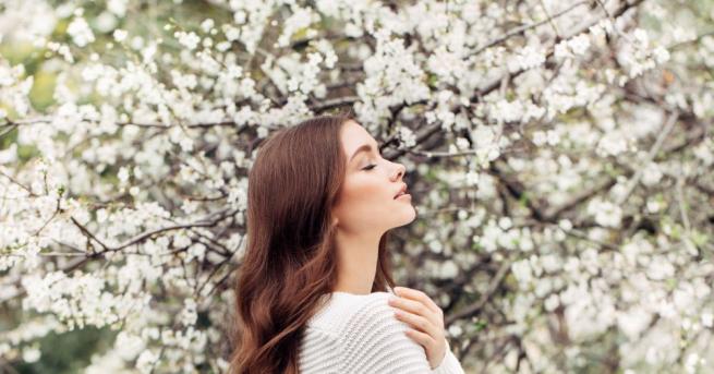 Днес през деня ще бъде слънчево с разкъсана висока облачност