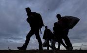  Задържаха над 50 незаконни мигранти край Любимец 