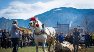 Село Бистрица се готви за Тодоровден