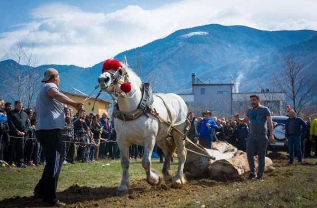 Село Бистрица се готви за Тодоровден