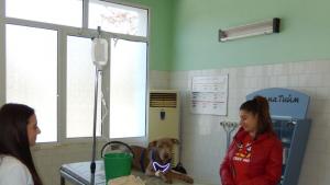 студенти училище