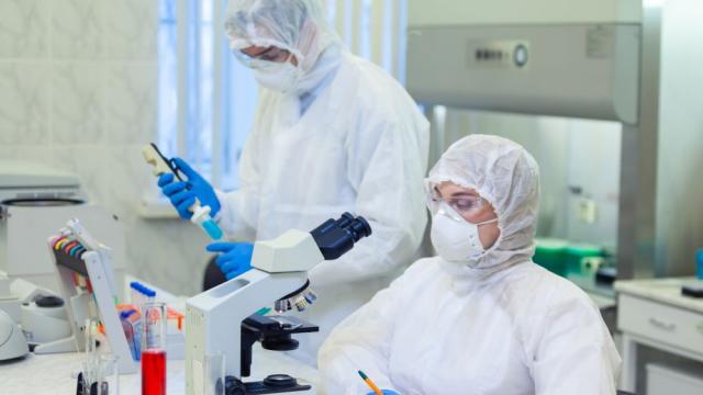 Картографираха имунната реакция към коронавирус