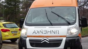 Разлог коронавирус семейство