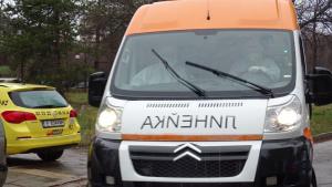 Разлог коронавирус семейство