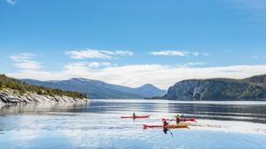 остров Нюфаундленд Канада