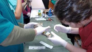 студенти Тракийски университет