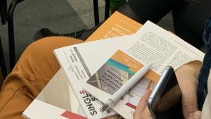 Сингъл Степ