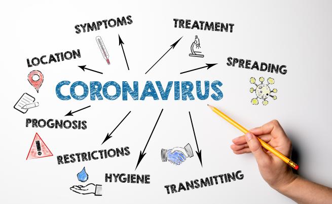 Учени откриха как имунната ни система се бори с COVID-19