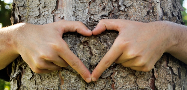  Често резлутатът, откакто реализираме сякаш стремежи резултат, е следния: 