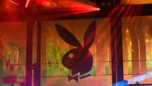 Плейбой зайче