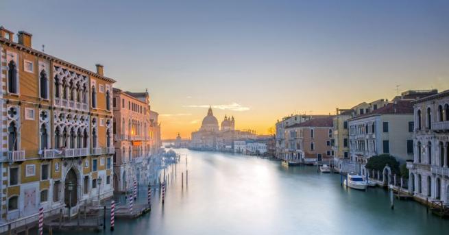 Жителите на италианския град Венеция споделят че са заснели делфини