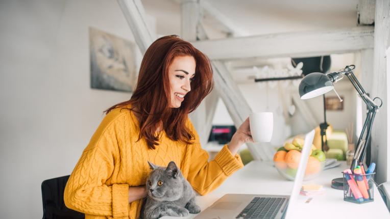 жена работа дом котка компютър лаптоп