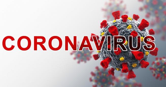 Пандемията от новия коронавирус жертвите до момента и мерките предприемани