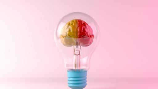  <p><strong>ТЕСТ:</strong> Проверете общата си просвета с тези въпроси</p> 