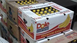 алкохол Пловдив