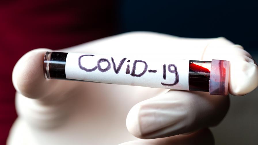 Печален рекорд в Испания, най-много заразени с COVID-19 в САЩ