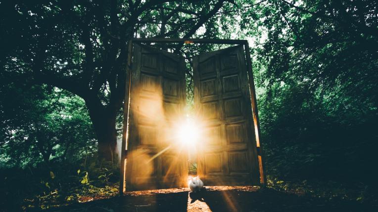  20 съвета от баба Ванга за здраве и вярно хранене 