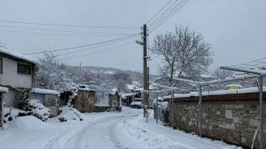 сняг Асеновградско