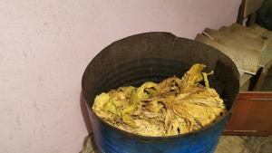 нелегален тютюн Пловдив