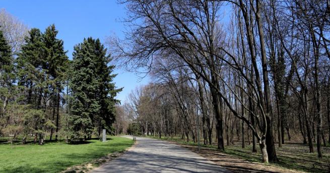 Парковете в София останаха почти пусти въпреки топлото време в