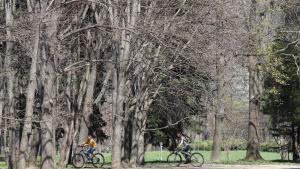 Южен парк хора пейки