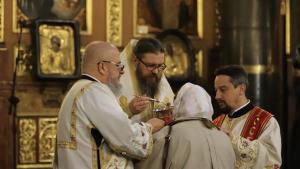 Света Неделя Цветница