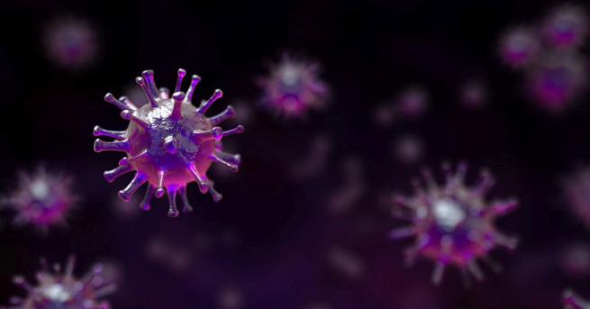 Учени от Сингапур смятат, че предаването на коронавируса от носители,