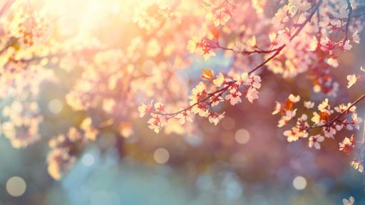  Какво време ни чака през днешния ден 