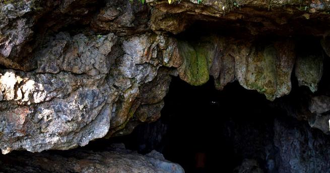 Индийските власти спасиха шестима туристи които живеели в пещера в