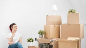 кашони котка