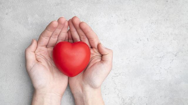 Експерт: Бобовите растения са приятели на сърцето