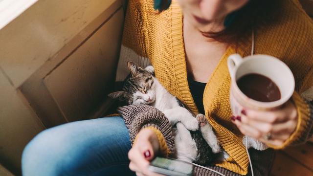 Проучване: Три чаши кафе на ден гарантират дълголетие 