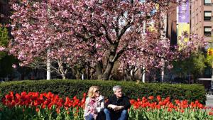 Днес ще преобладава слънчево време От запад на изток ще