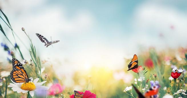 Дъждове градушки и температури от 3 до 30 градуса Такова