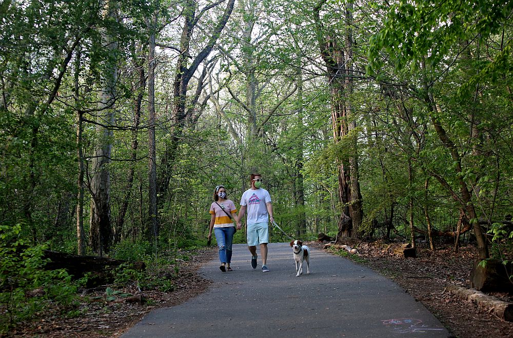 Ню Йорк пандемия