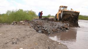 дига Перник