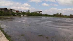 дига Перник