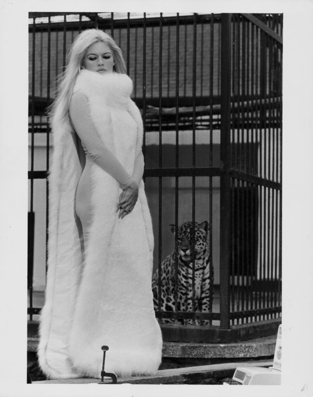 Неповторима красавица и секс символ от 50-те години - Брижит Бардо