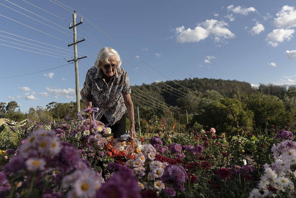 Австралийката Мей Блака доставя букети в Кобарго от 60 години