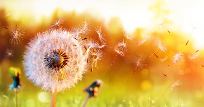 България Очаква ни горещ понеделник Вижте какви температури ни ще