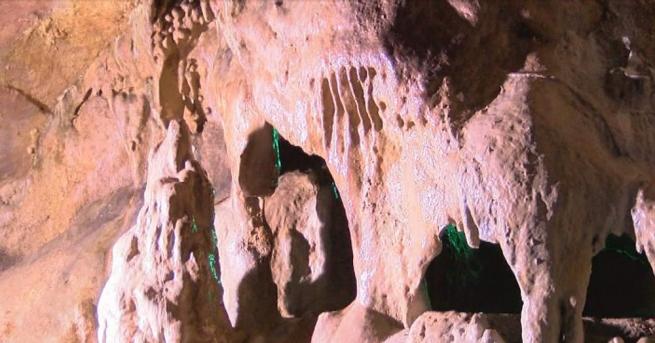 Туристка почина при злополука до Националния пещерен дом край луковитското
