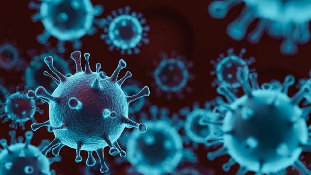 Учени установиха как коронавирусът уврежда обонянието