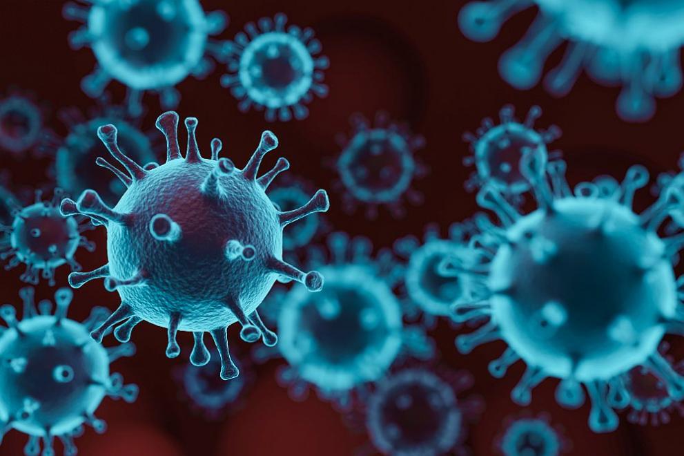 Коронавирусът е елиминиран в Нова Зеландия, отменят ограничителните мерки - Свят - DarikNews.bg
